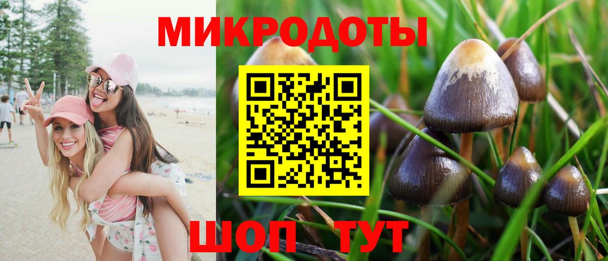 Псилоцибиновые грибы прущие грибы  Вход с VPN  Рязань 